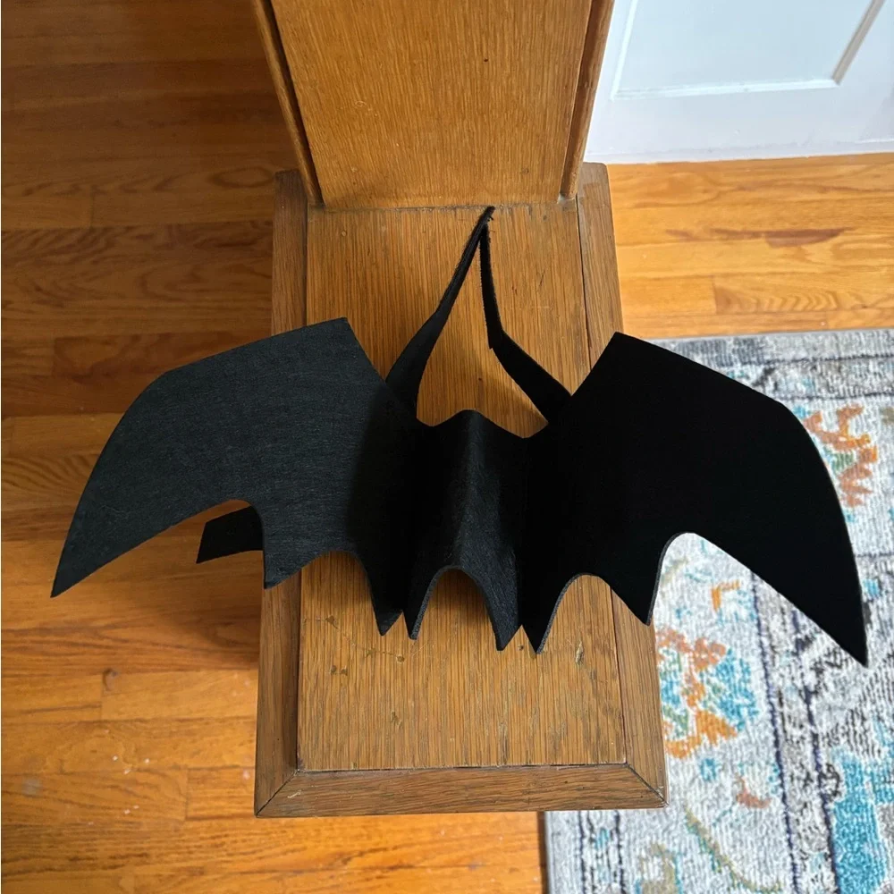 Cat Bat Wings Costume
